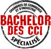 Bachelor des CCI