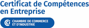 Tuteur en entreprise - certification CCI Campus Centre